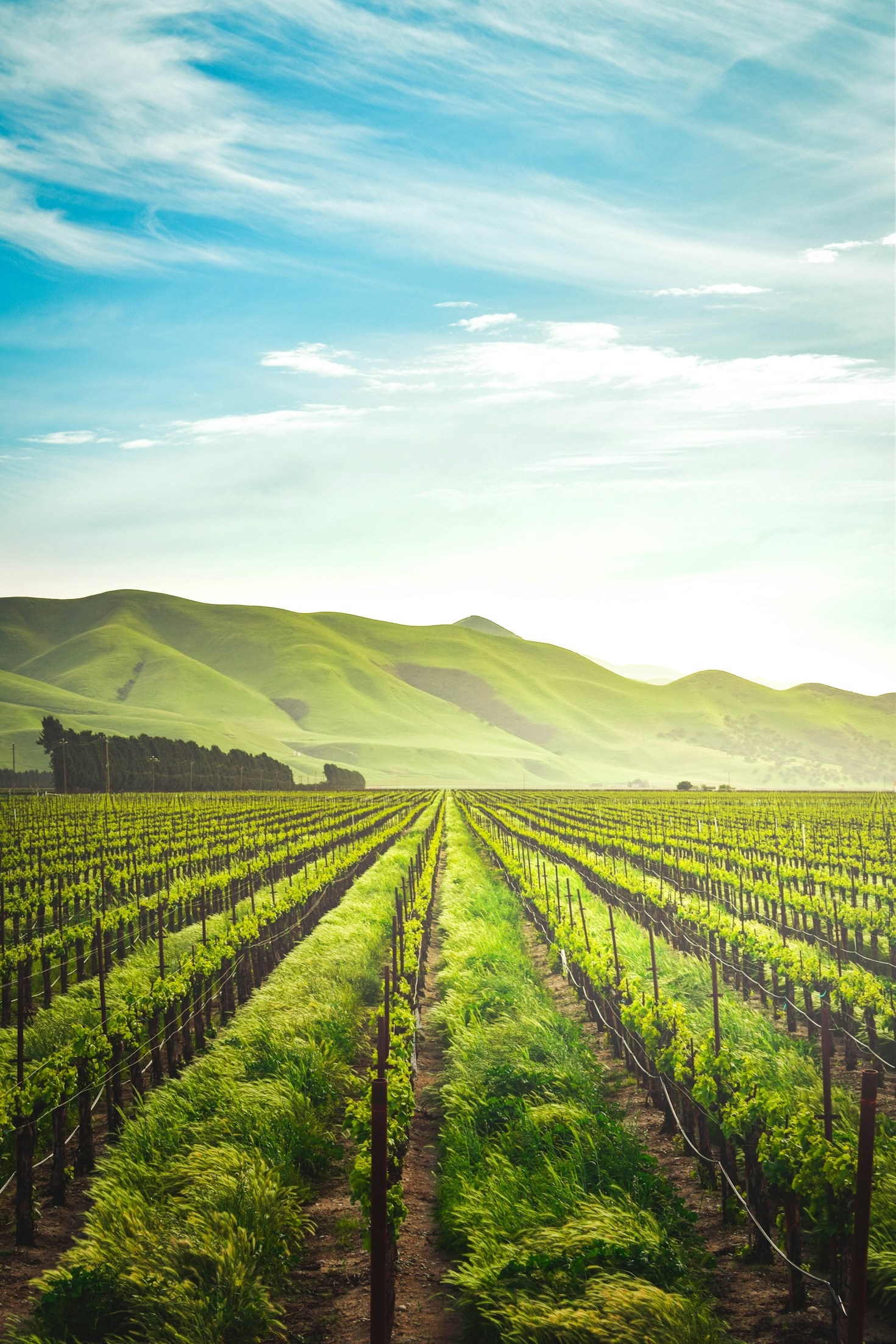 10 Innovations Revolutionizing Farming in Africa