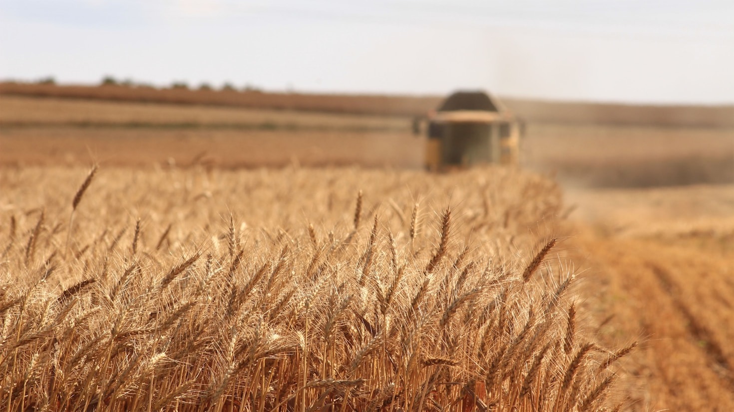 FarmGRO Tech Africa: Bridging Tech and Agriculture